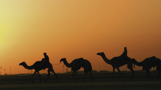 MARAVILLAS DE TURQUIA Y DUBAI